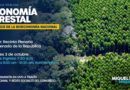 Audiencia Pública de Economía Forestal