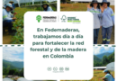 Productos, beneficios y servicios