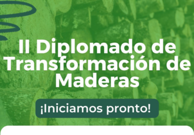 II Diplomado de Transformación de Maderas