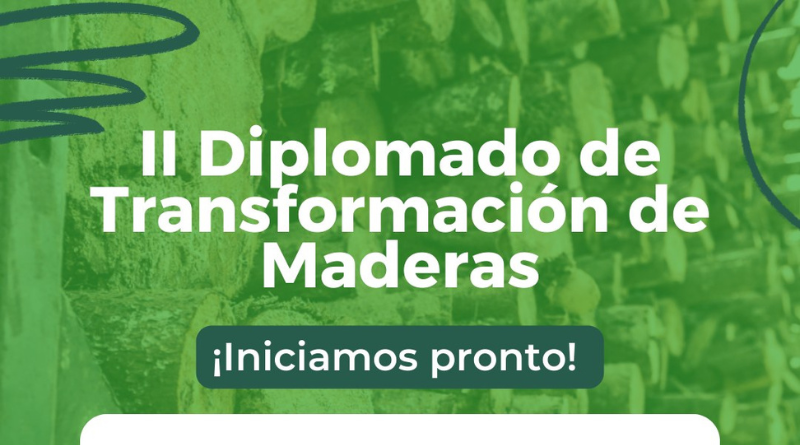 II Diplomado de Transformación de Maderas