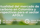 Actualidad del mercado de carbono en Colombia y perspectivas para el sector AFOLU: