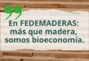 Programas FEDEMADERAS