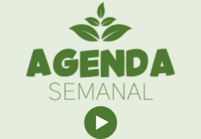 Video agenda semanal