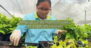 Transformando sabanas degradadas en la Orinoquía, en bosques de conservación