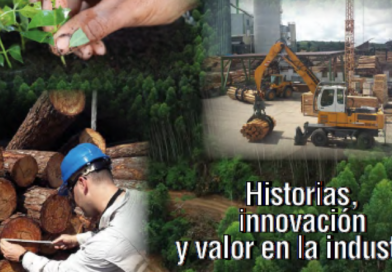 Revista 4Bs + Madera | Edición 50 – Segundo semestre