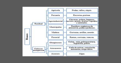 Análisis de las técnicas de aprovechamiento de biomasa en América Latina