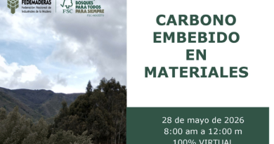 Carbono embebido en materiales