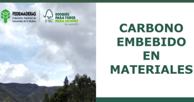Carbono embebido en materiales