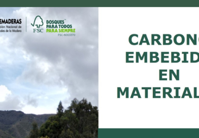 Carbono embebido en materiales